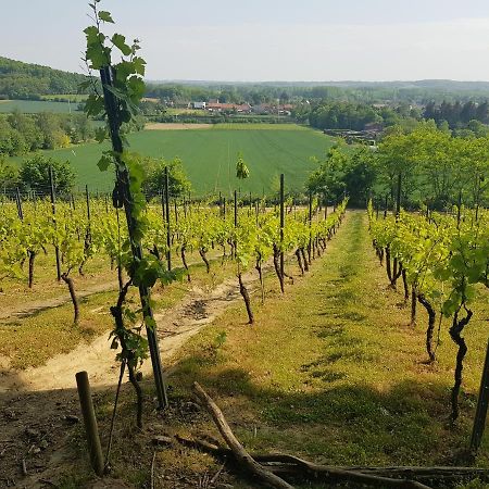 Bed and Breakfast Boslucht Leuven Heverlee Екстер'єр фото