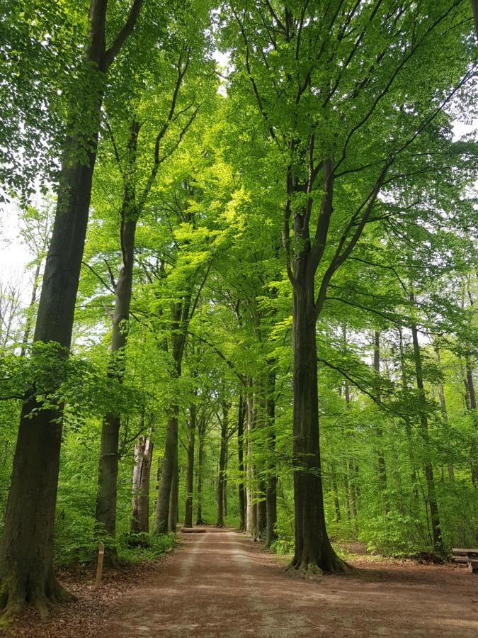 Bed and Breakfast Boslucht Leuven Heverlee Екстер'єр фото